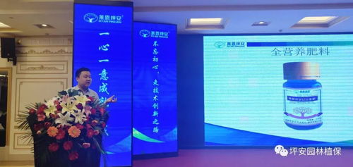 技術塑魂，服務立身 上海網絡技術服務的創新與實踐之路